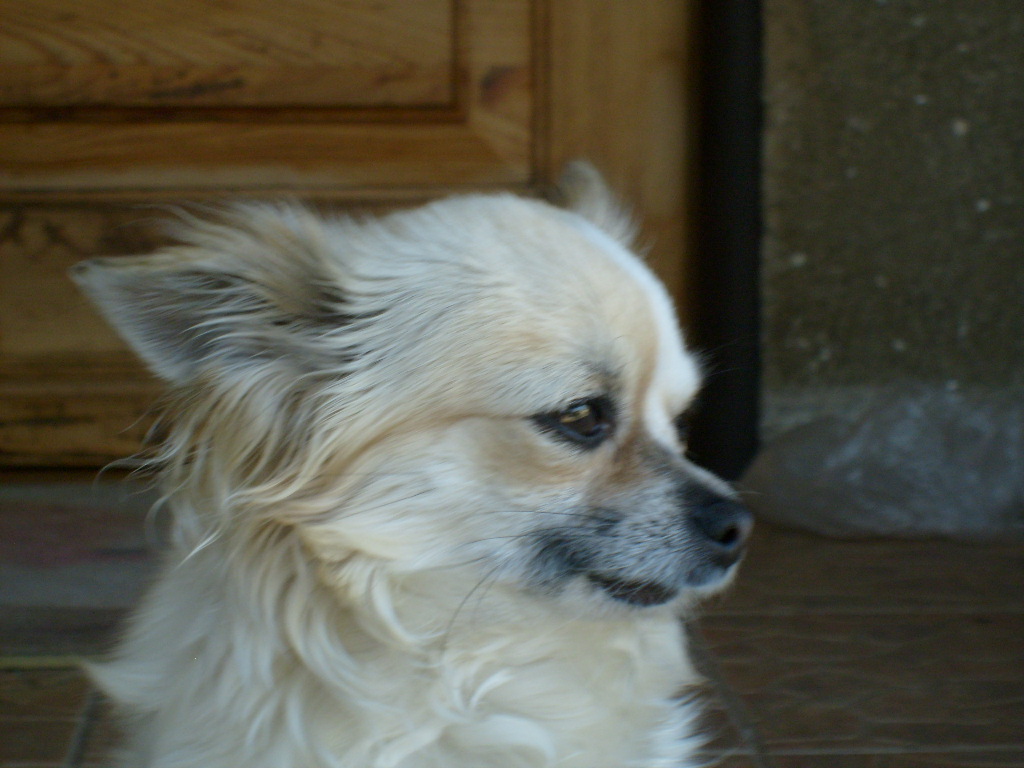 S6301698.JPG